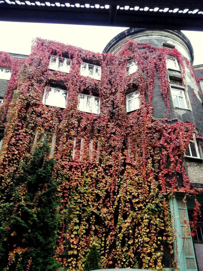 Bristol Economy Bed & Breakfast Bytom Exterior photo